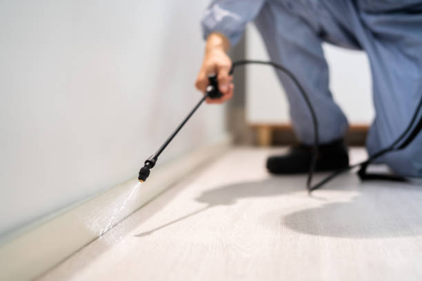 Licensed Pest Control service in Girard, OH - Show Me Pest Control