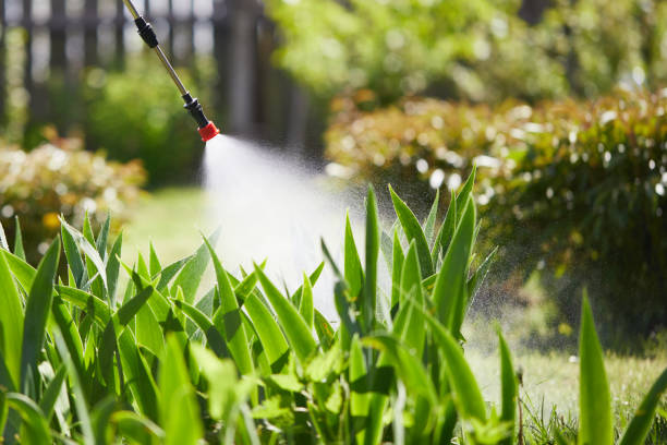 24/7 Emergency Wasp Removal experts in Girard, OH