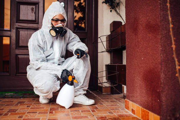 Reliable Wasp Removal contractor in Girard, OH by Show Me Pest Control